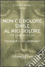 Non c'è dolore simile al mio dolore libro