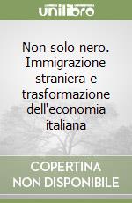 Non solo nero. Immigrazione straniera e trasformazione dell'economia italiana