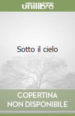 Sotto il cielo libro