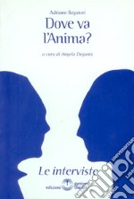 Dove va l'anima? libro