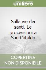 Sulle vie dei santi. Le processioni a San Cataldo libro