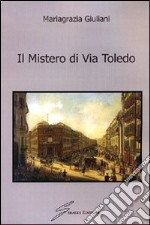 Il mistero di via Toledo libro