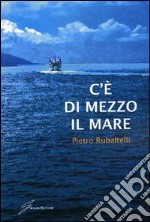 C'è di mezzo il mare libro