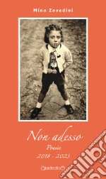 Non adesso. Poesie 2018-2023 libro