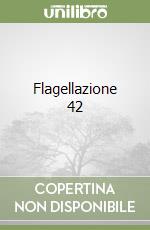 Flagellazione 42