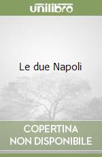 Le due Napoli libro