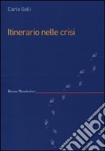 Itinerario nelle crisi libro