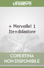 + Merveille! 1 Ite+didastore