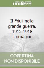 Il Friuli nella grande guerra. 1915-1918 immagini libro