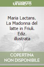 Maria Lactans. La Madonna del latte in Friuli. Ediz. illustrata libro