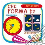 Che forma è? libro