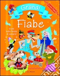 Grandi fiabe libro
