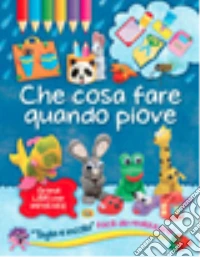 Che cosa fare quando piove libro