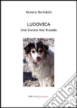 Ludovica. Una scatola non riposta libro