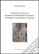 I movimenti sindacali nei processi di democratizzazione: l'esperienza di Sudafrica e Nigeria libro