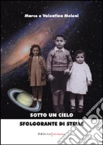 Sotto un cielo sfolgorante di stelle libro