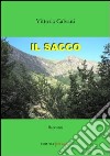 Il sacco libro