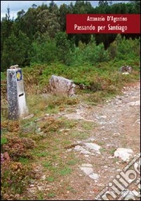 Passando per Santiago libro