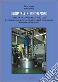 Industria e innovazioni. Vademecum per la gestione dei punti critici libro