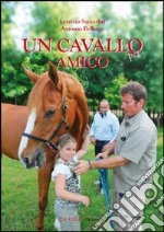 Un cavallo per amico