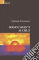 Fermo davanti al cielo libro