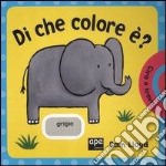 Di che colore è? libro