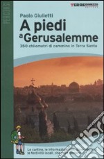 A piedi a Gerusalemme. 350 chilometri di cammino in Terra Santa libro