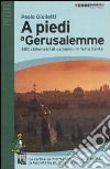 A piedi a Gerusalemme. 350 chilometri di cammino in Terra Santa libro