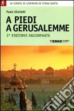 A piedi a Gerusalemme. 16 giorni di cammino in Terra Santa libro