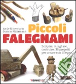 Piccoli falegnami. Scolpire, intagliare, costruire: 38 progetti per creare con il legno libro