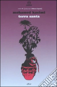 Terra Santa