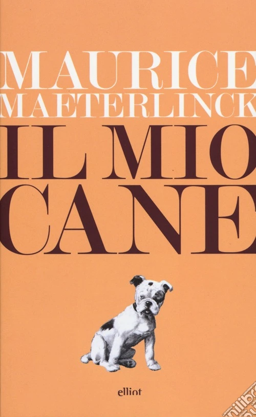 Il mio cane