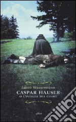 Caspar Hauser o l'inerzia del cuore libro