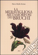 La meravigliosa metamorfosi dei bruchi