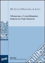 Valutazione e consolidamento sismico dei ponti esistenti