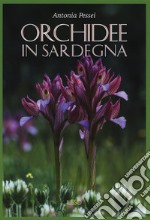 Orchidee in Sardegna. Ediz. illustrata