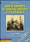 Non m'importa se non hai trovato l'uva fragola libro di Fiorn Giulia