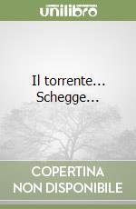 Il torrente... Schegge...