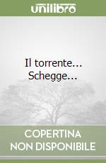 Il torrente... Schegge... libro