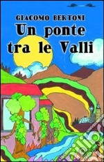 Un ponte tra le valli