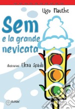 Sem e la grande nevicata libro