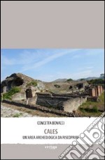 Cales. Un'area archeologica da riscoprire libro