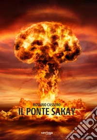 Il ponte sakay libro
