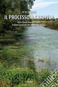 Il processo a Carmela