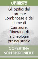 Gli opifici del torrente Lombricese e del fiume di Camaiore. Itinerario di archeologia preindustriale libro