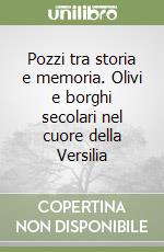 Pozzi tra storia e memoria. Olivi e borghi secolari nel cuore della Versilia libro