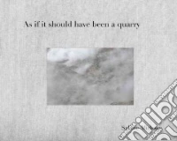 Sabine Mirlesse: as if it should have been a quarry. Ediz. illustrata libro