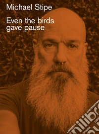 Even the birds gave pause