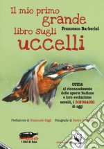 Il mio primo grande libro sugli uccelli. Guida al riconoscimento delle specie italiane e loro evoluzione: uccelli, i dinosauri di oggi libro