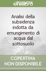 Analisi della subsidenza indotta da emungimento di acqua dal sottosuolo libro